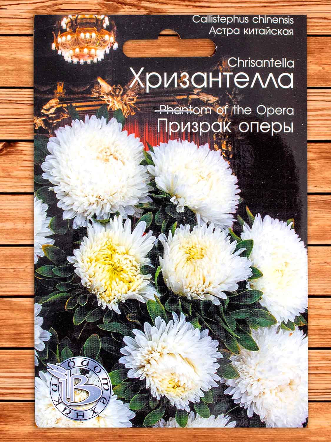 Хризантелла Призрак Оперы 30 шт.