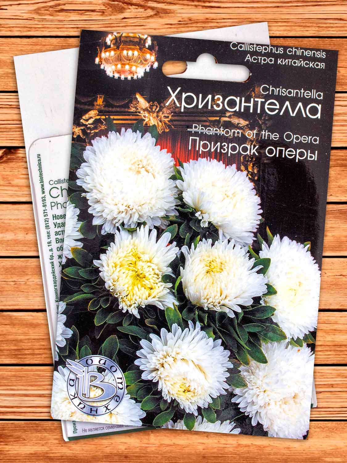 Хризантелла Призрак Оперы 30 шт.