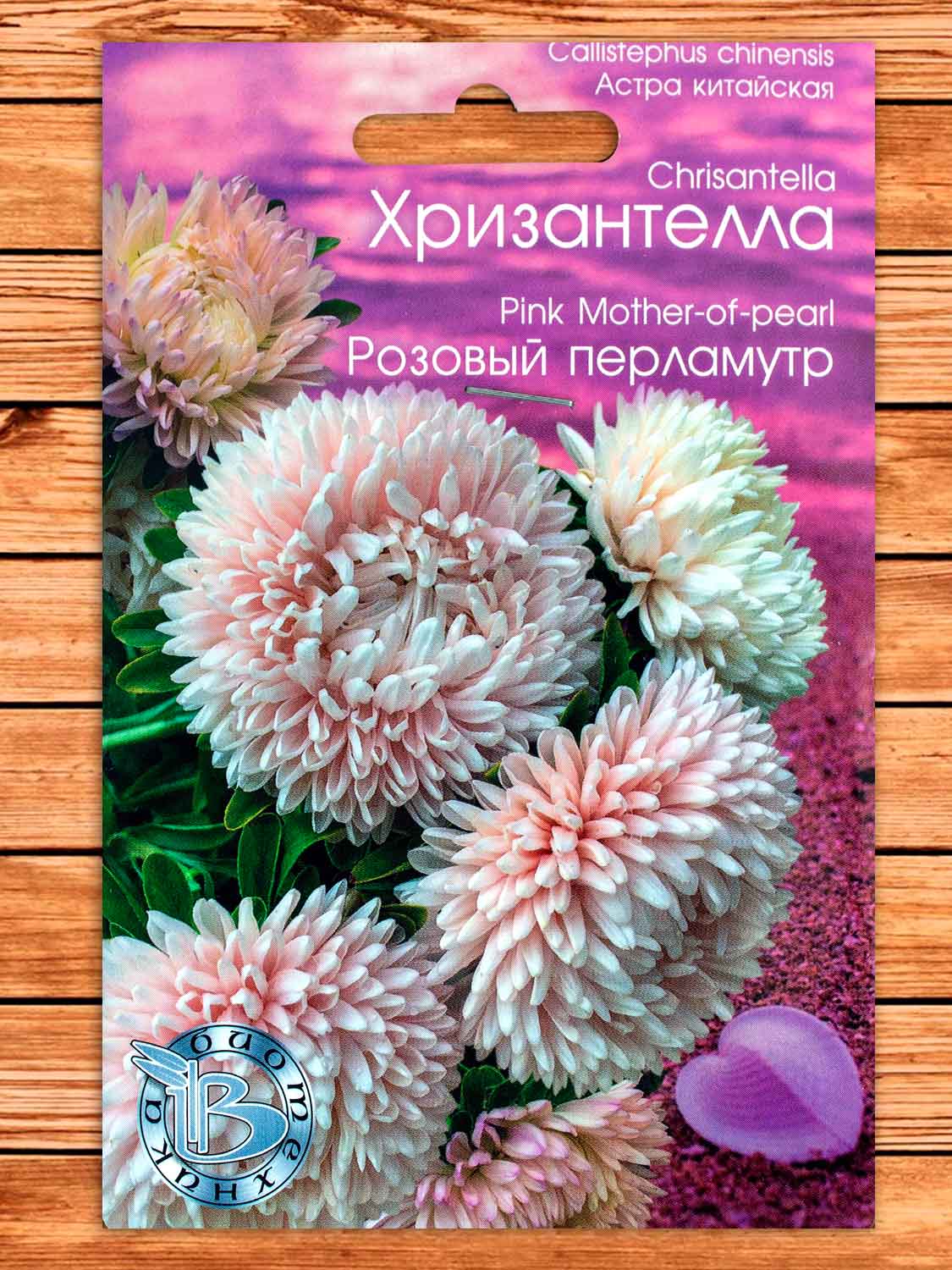 Хризантелла Розовый Перламутр 30 шт.