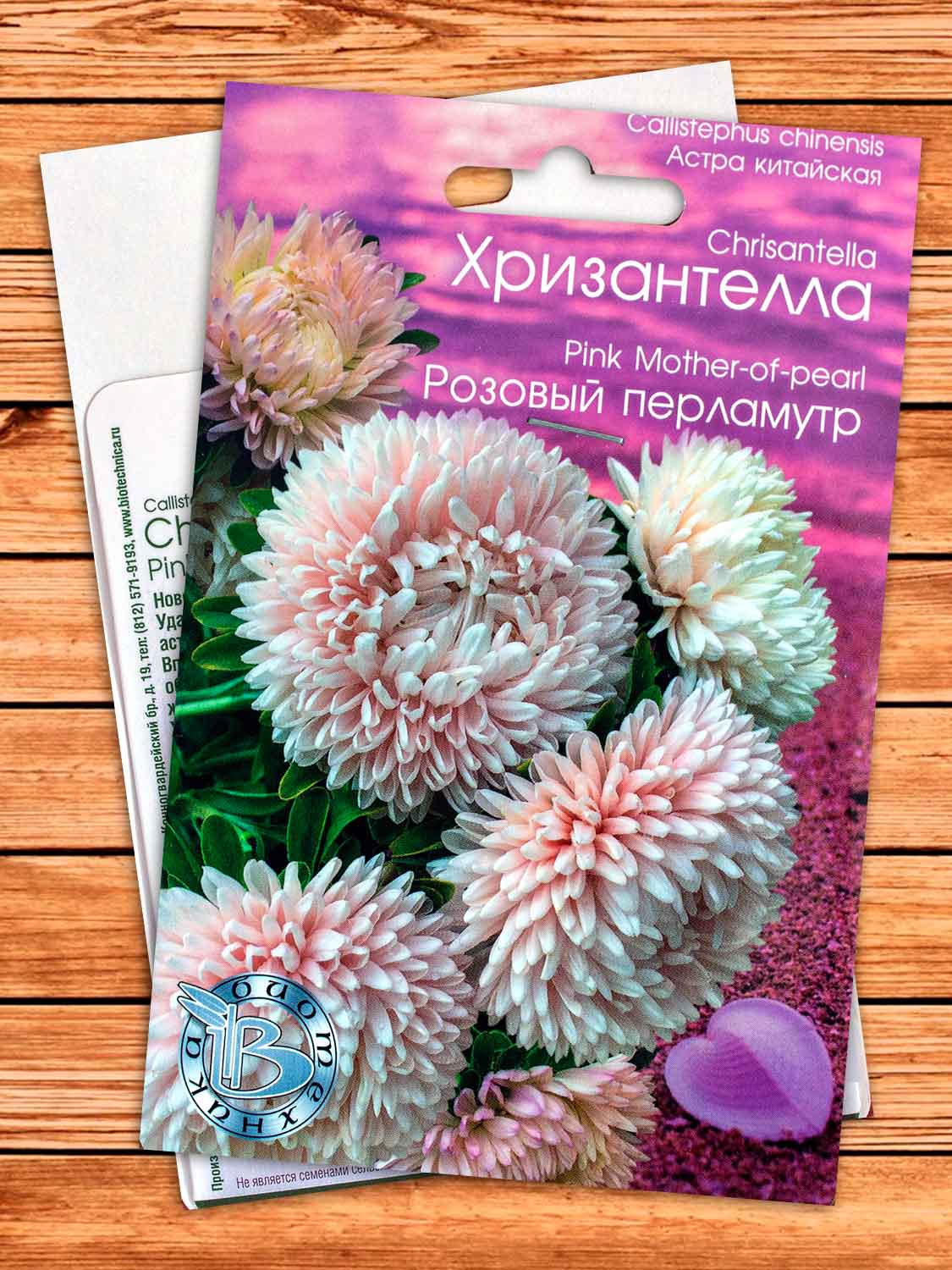 Хризантелла Розовый Перламутр 30 шт.