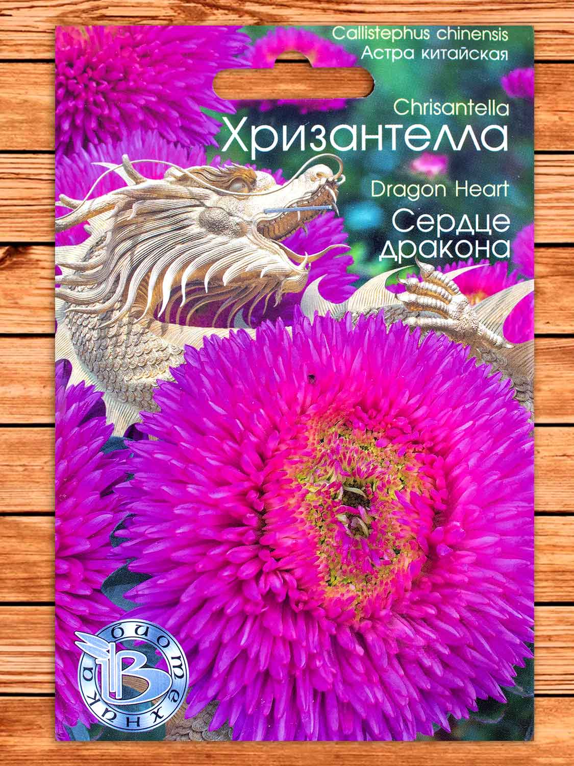Хризантелла Сердце Дракона 30 шт.