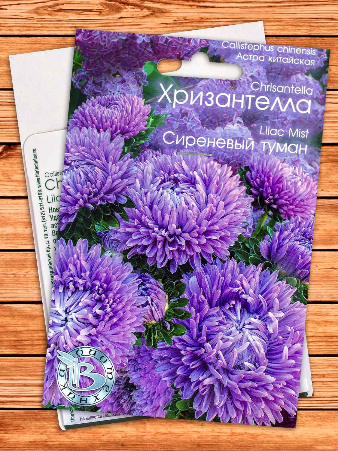 Хризантелла Сиреневый Туман 40 шт.