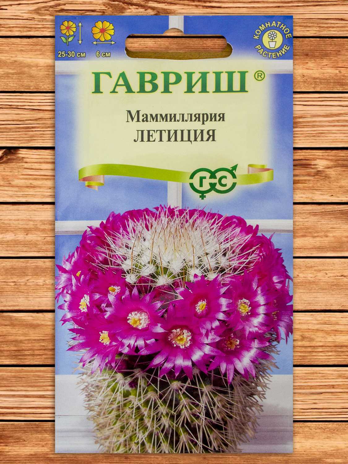 Маммиллярия Бакеберга (Кактус) Летиция 2 шт.
