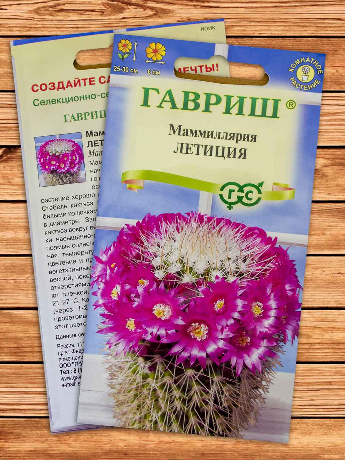 Маммиллярия Бакеберга (Кактус) Летиция 2 шт.