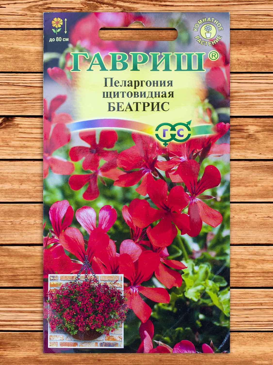 Пеларгония Беатрис ампельная 3 шт.