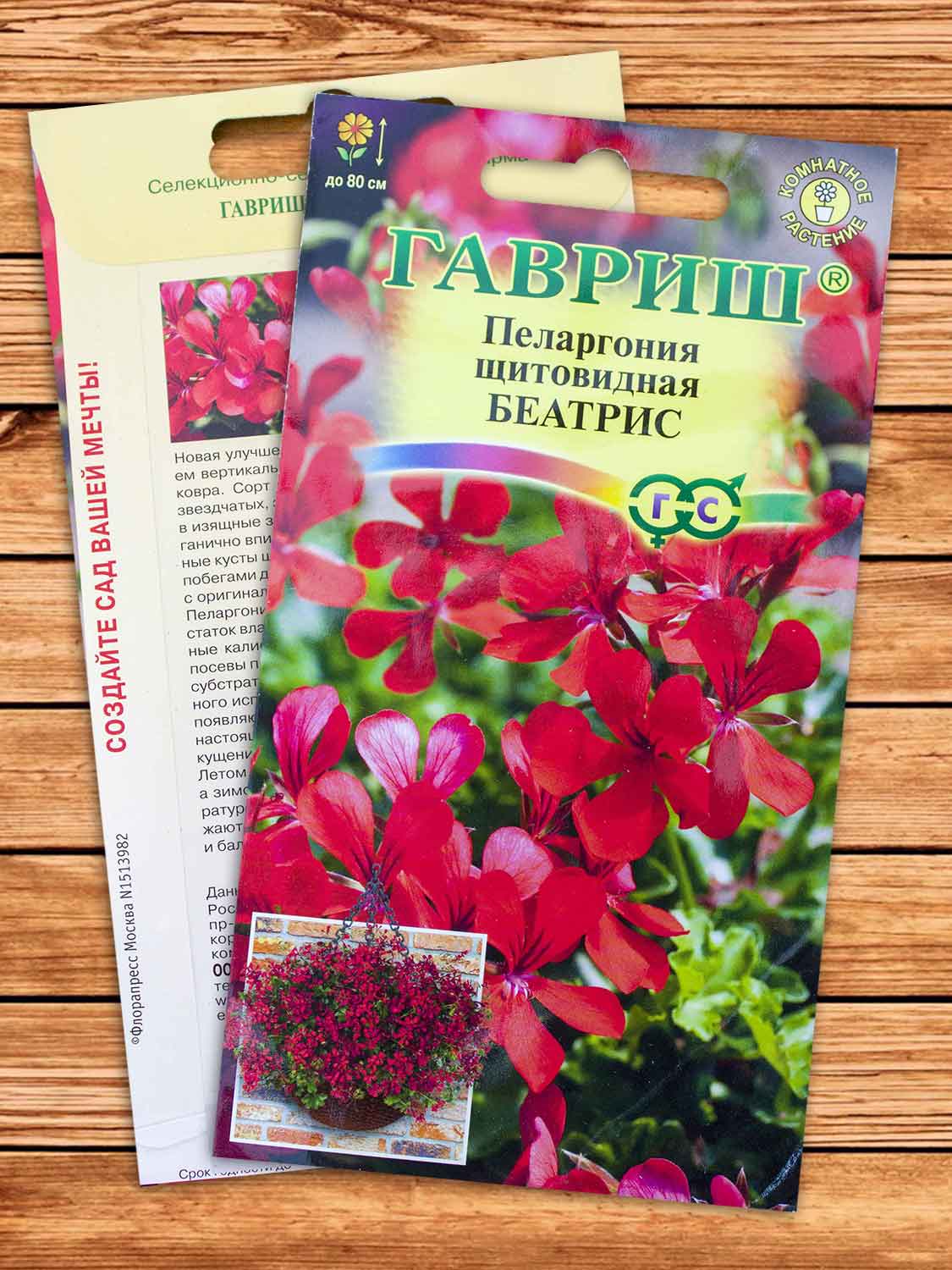Пеларгония Беатрис ампельная 3 шт.