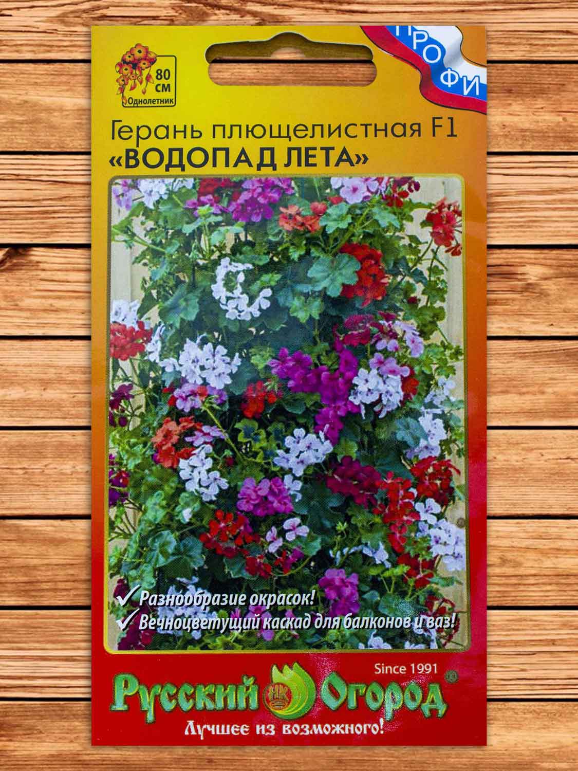 Пеларгония (Герань) Водопад Лета плющелистная F1 смесь 5 шт. серия ПРОФИ