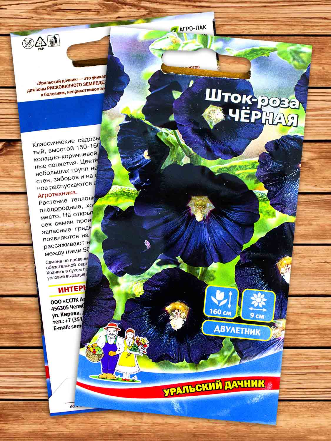 Шток-Роза Чёрная 10 шт.