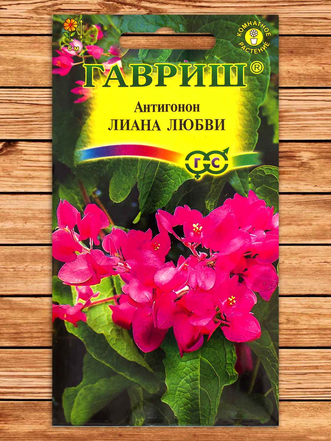 Антигонон Лиана Любви 5 шт.