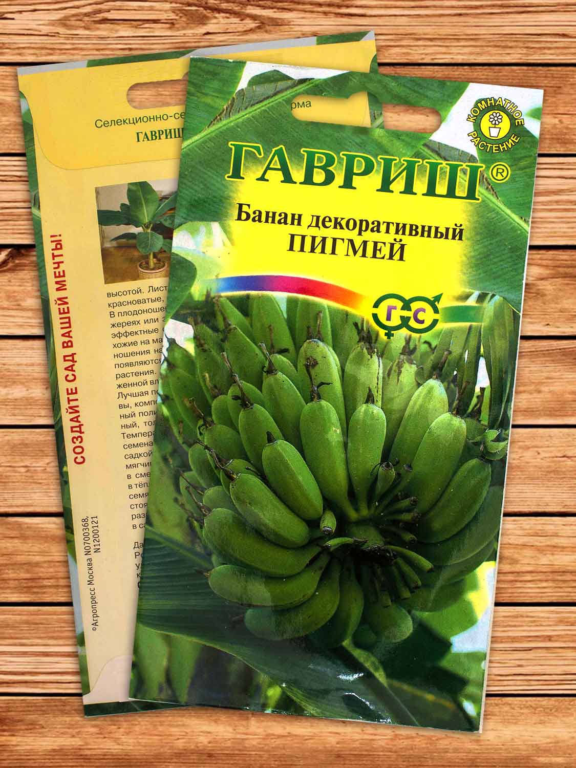 Банан Пигмей декоративный 3 шт.