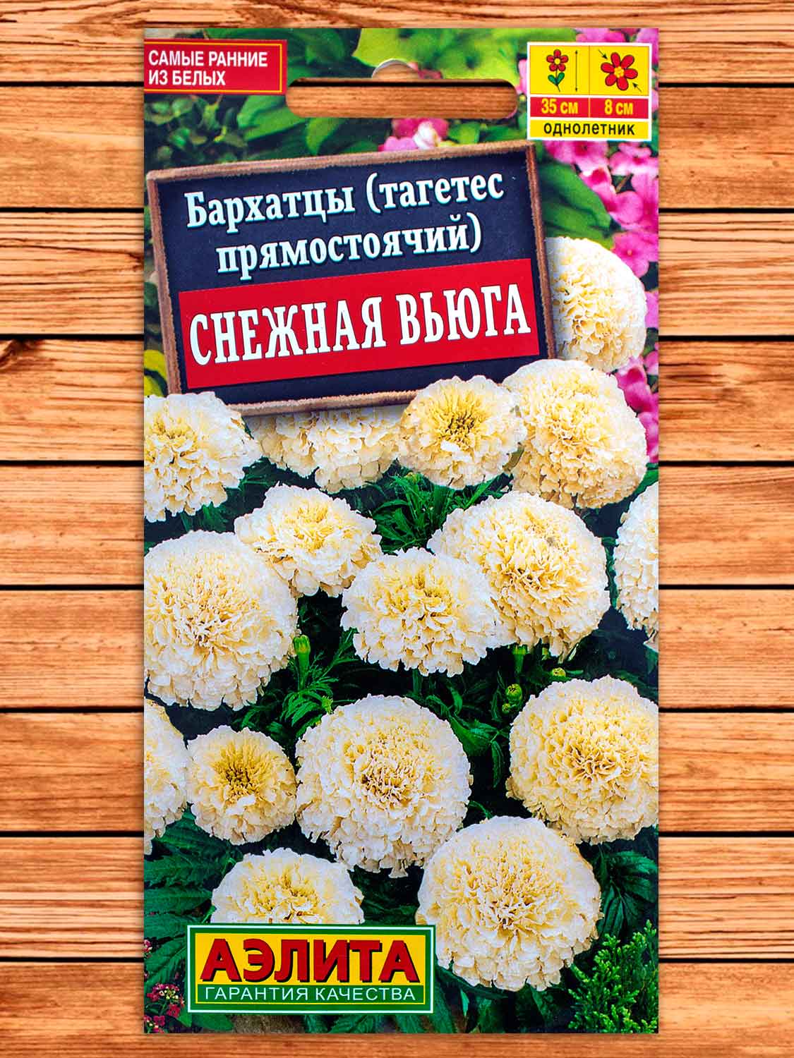 Бархатцы (Тагетес) Снежная Вьюга 10 шт.