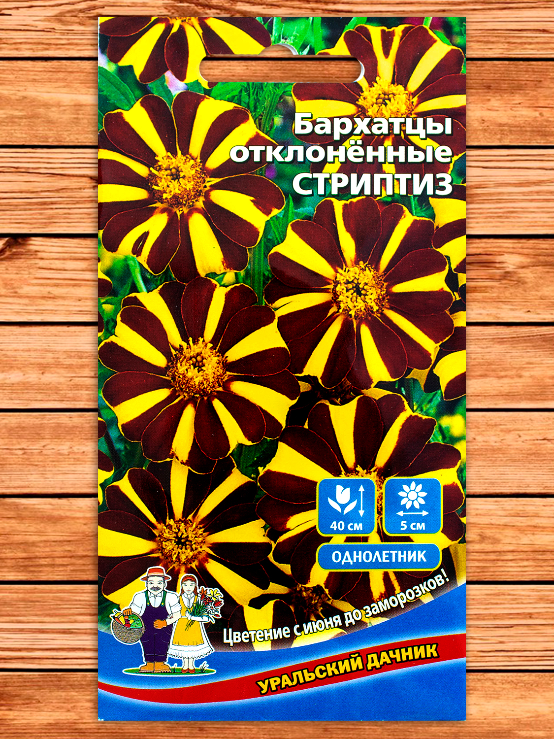 Бархатцы (Тагетес) Стриптиз отклоненные 0,2 гр.