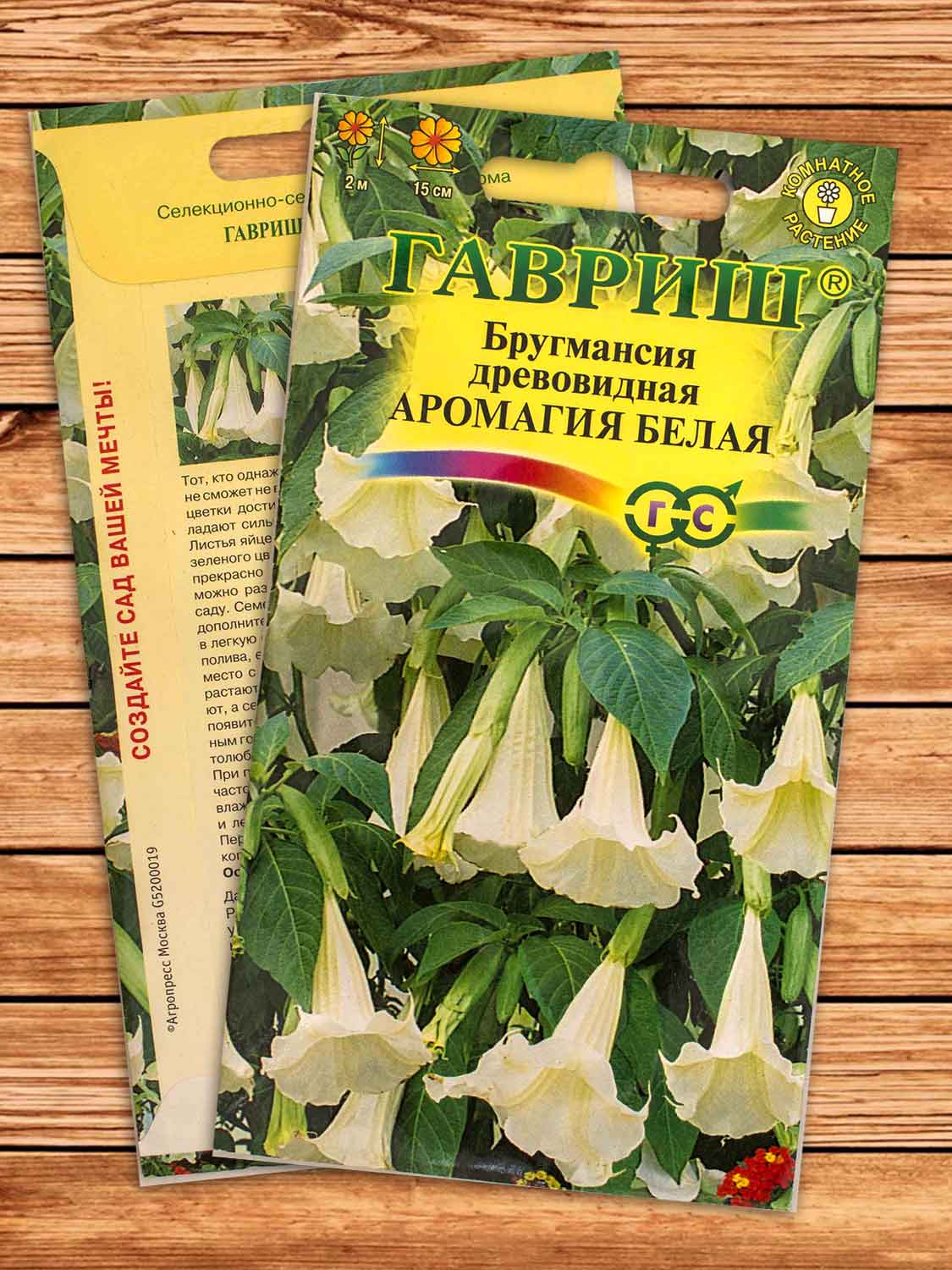 Бругмансия (Ангельские Трубы) Аромагия Белая 3 шт.