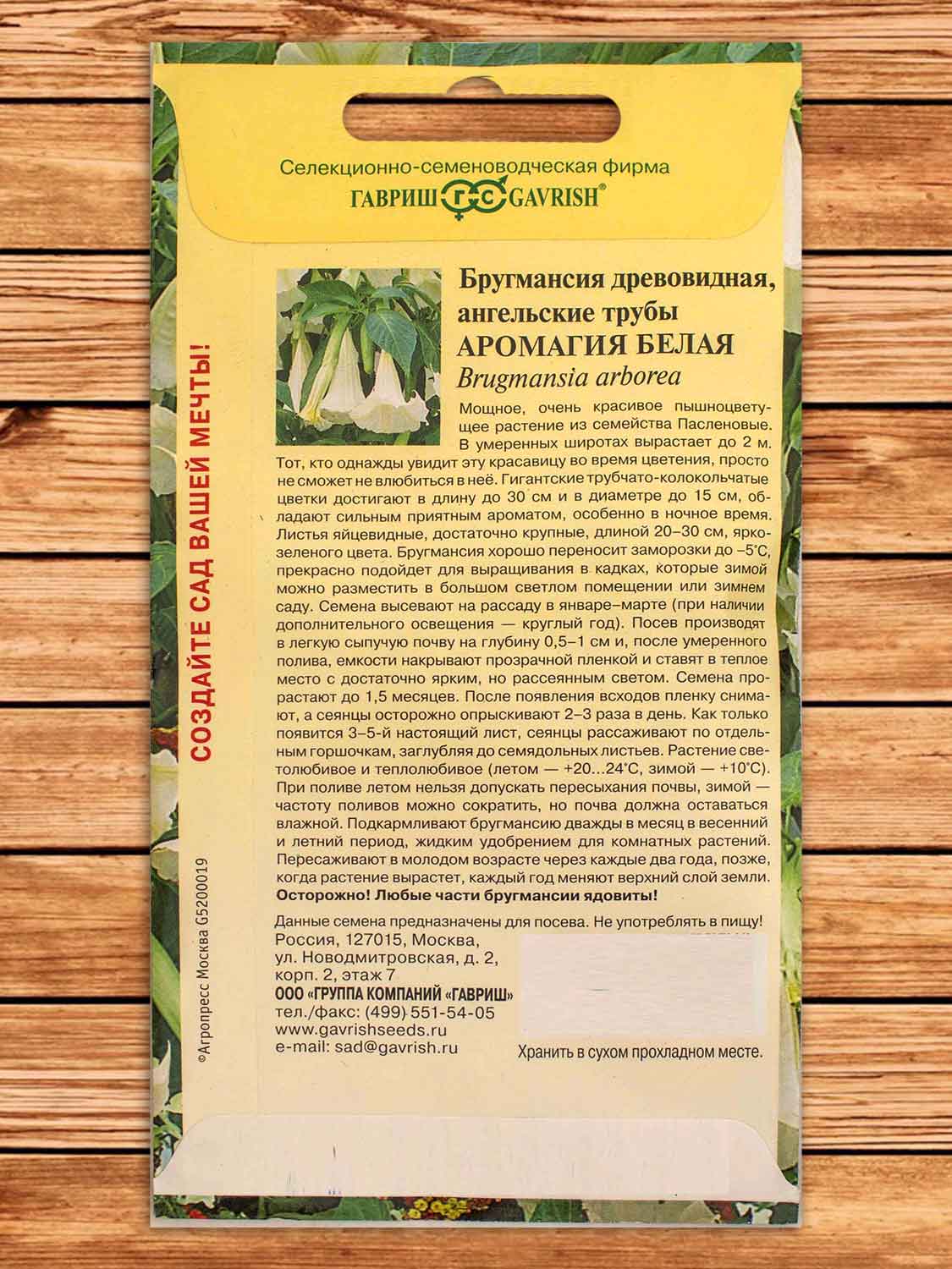 Бругмансия (Ангельские Трубы) Аромагия Белая 3 шт.
