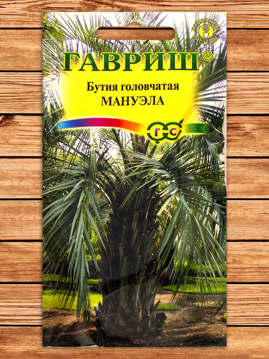 Бутия головчатая Мануэла 3 шт.