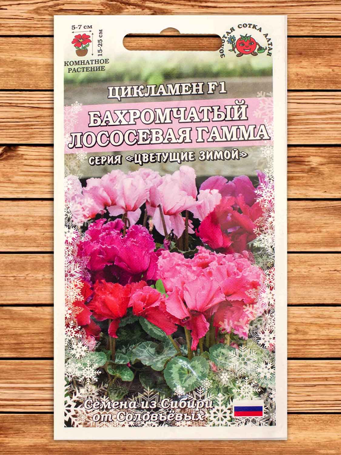 Цикламен Бахромчатый Лососевая Гамма 3 шт.