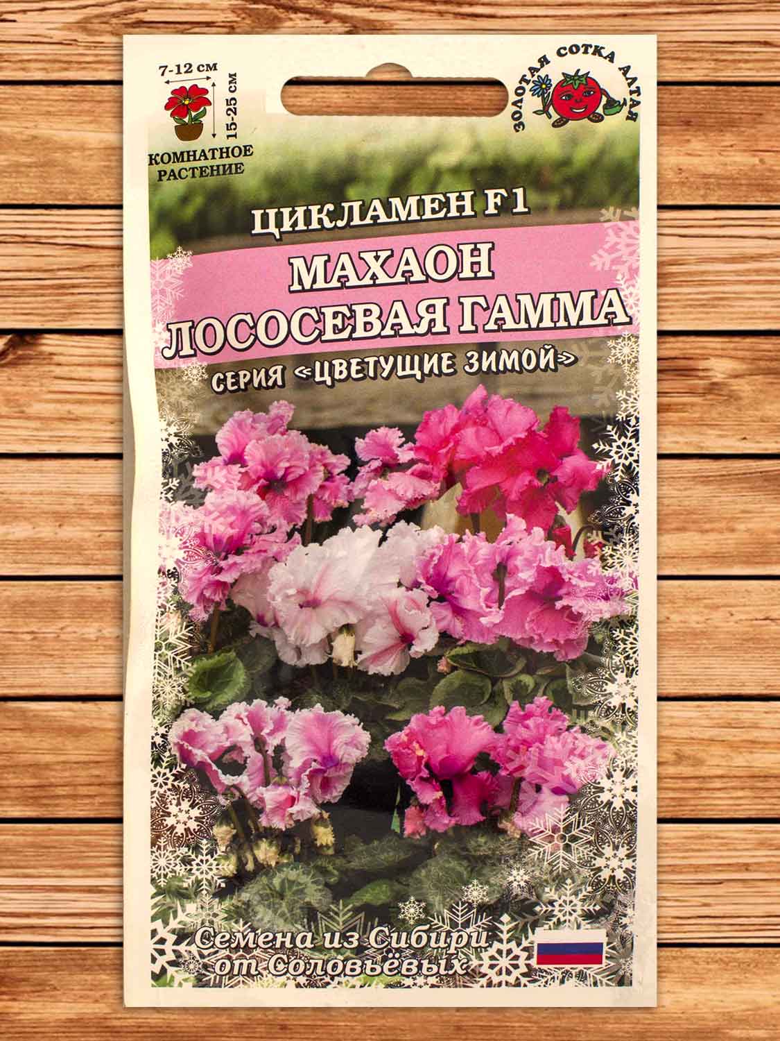 Цикламен Махаон Лососевая Гамма 3 шт.