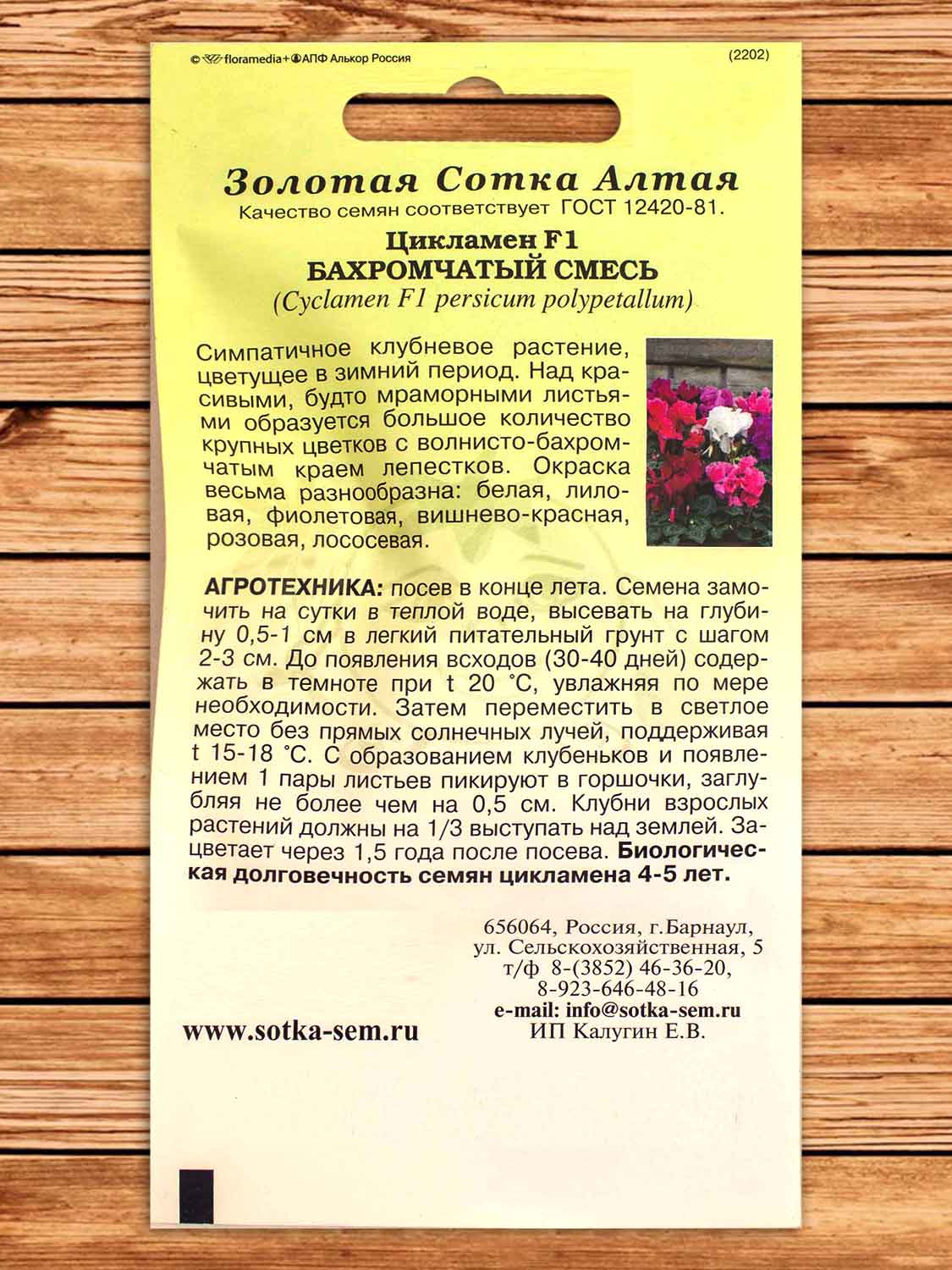 Цикламен Бахромчатый смесь 3 шт.