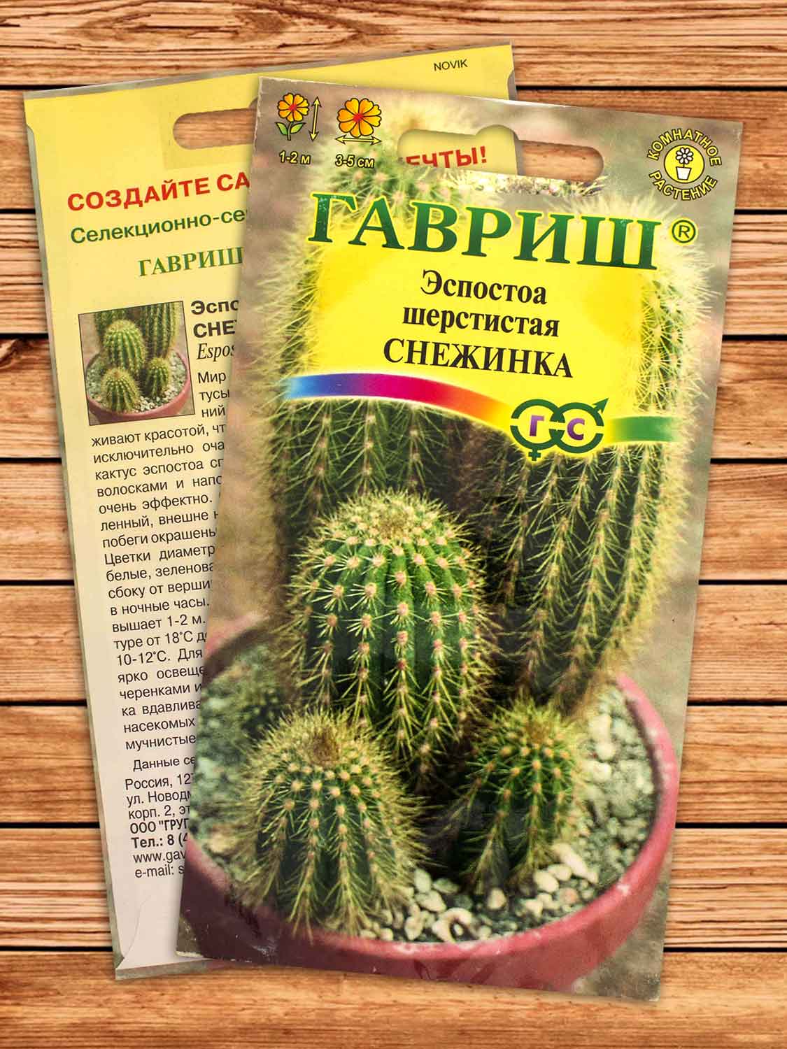 Эспостоа шерстистая (Кактус) Снежинка 5 шт.