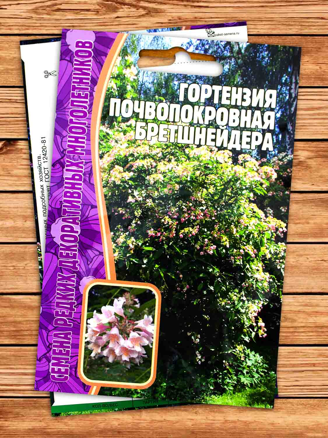 Гортензия Бретшнейдера почвопокровная 20 шт.
