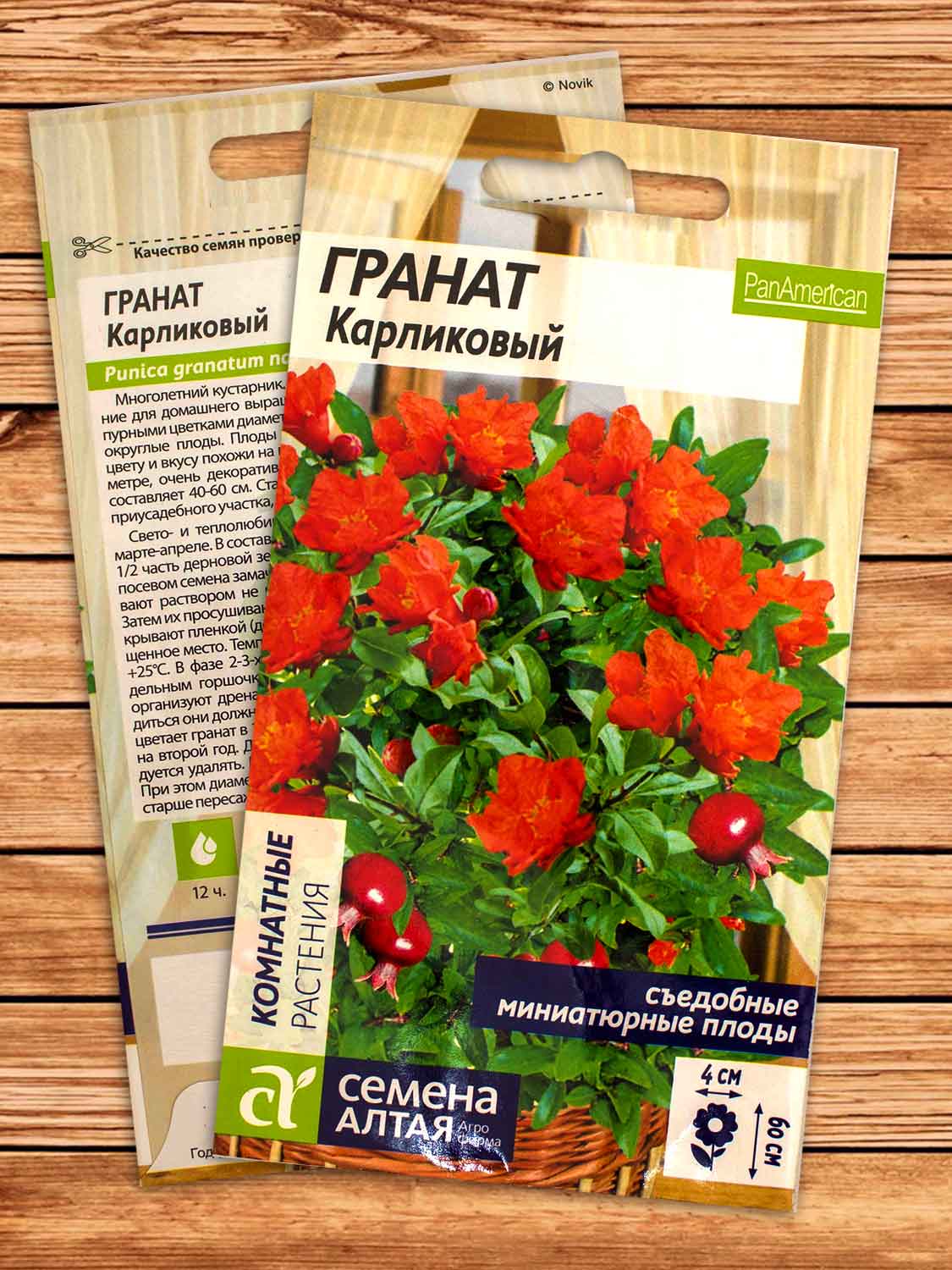 Гранат Карликовый 5 шт.