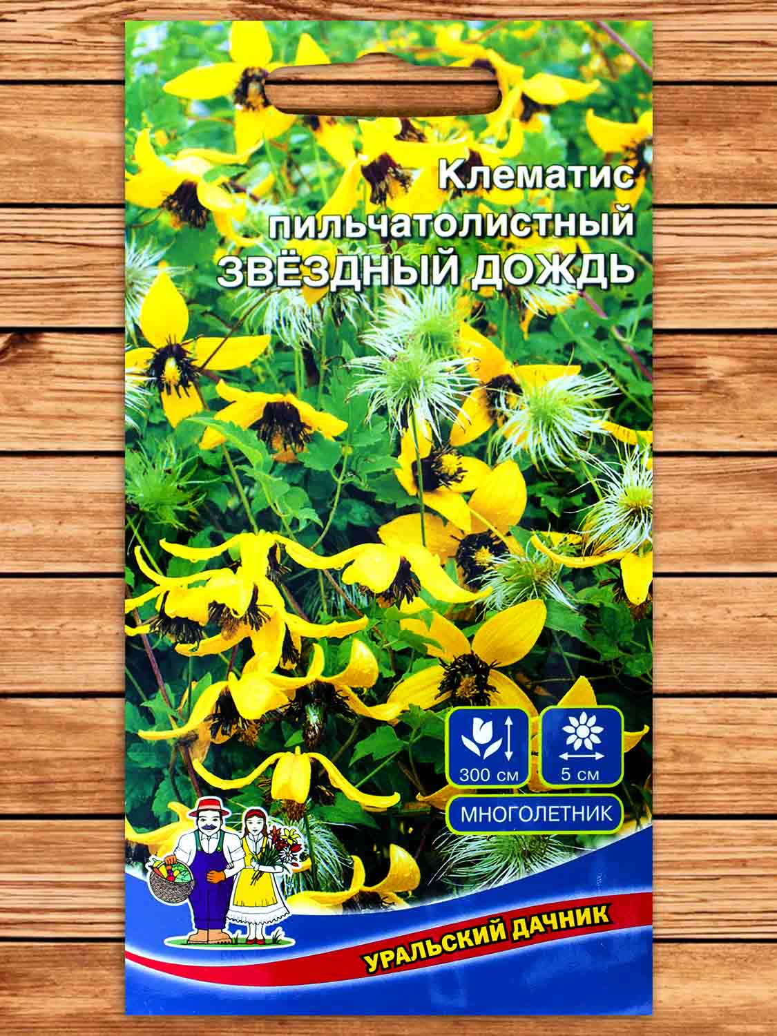 Клематис Пильчатолистный Звездный Дождь 12 шт.