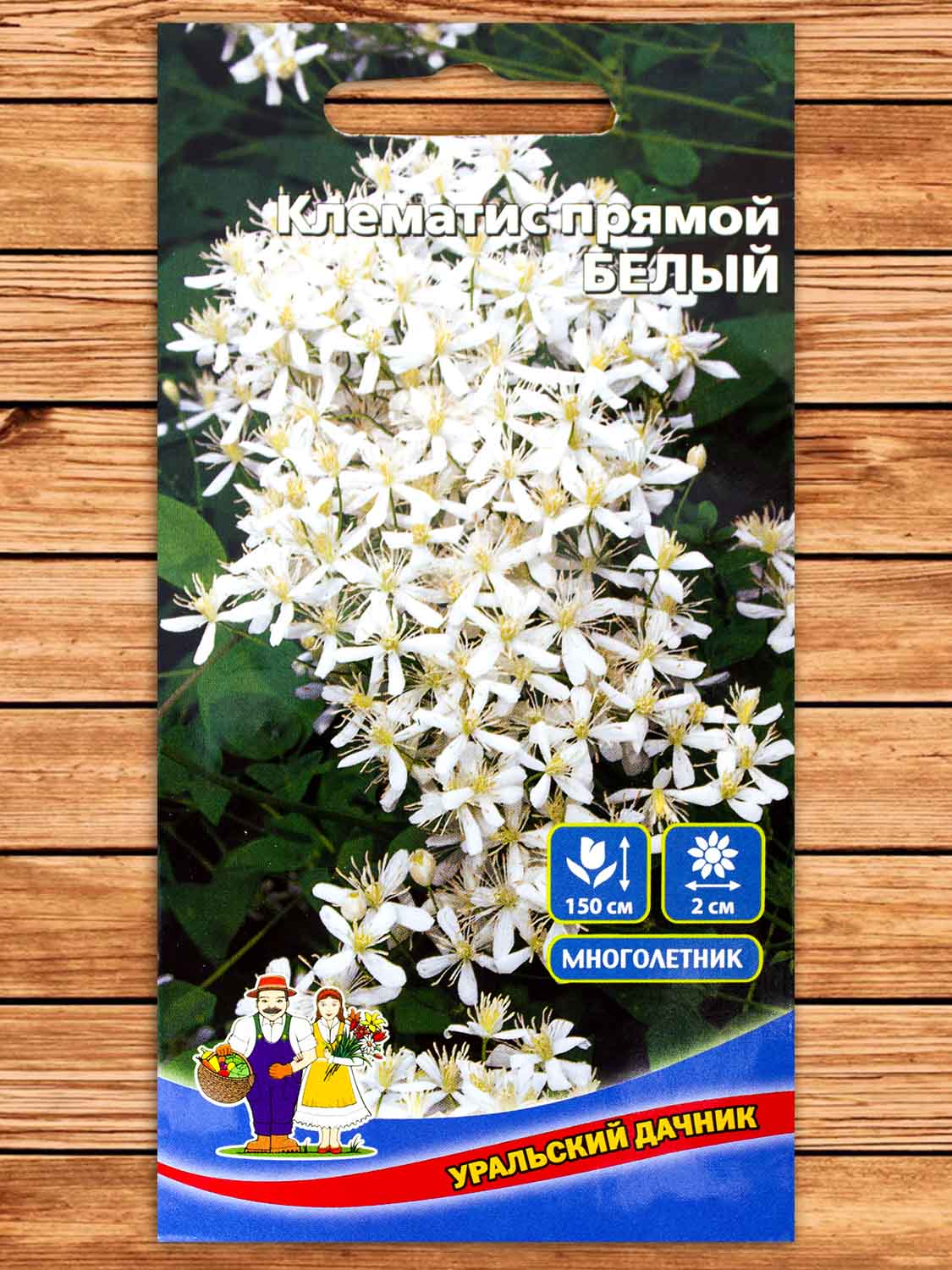 Клематис Прямой Белый 20 шт.