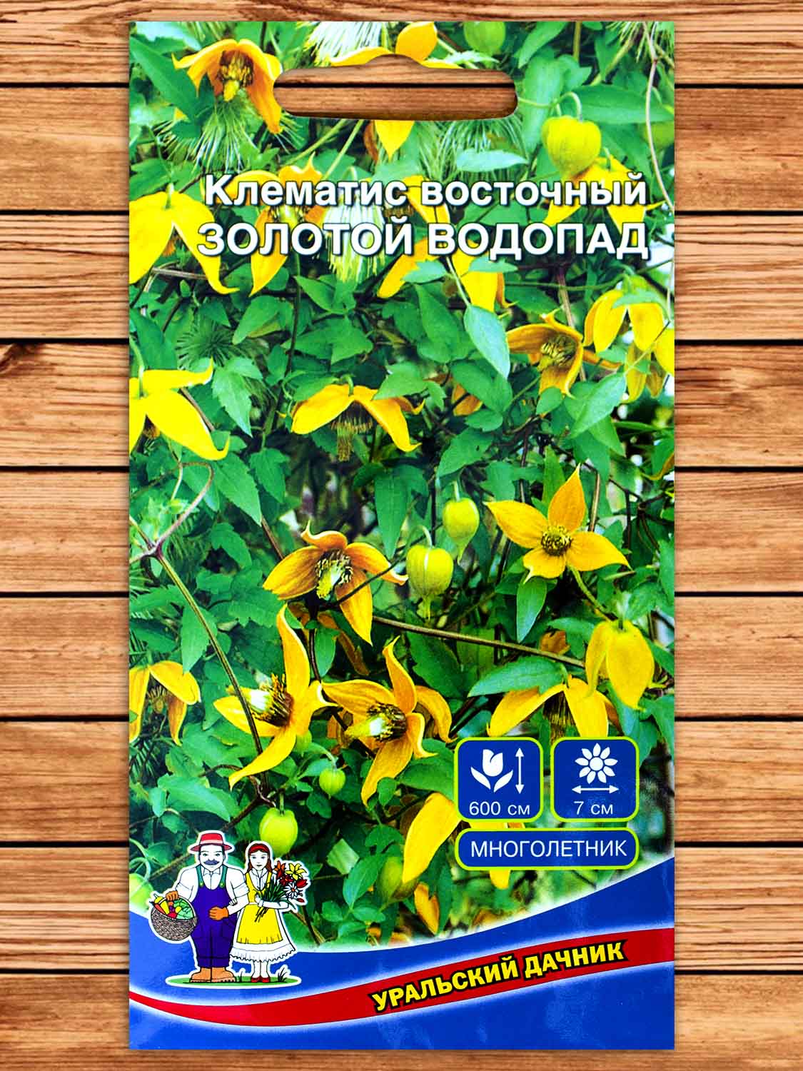 Клематис Восточный Золотой Водопад 12 шт.