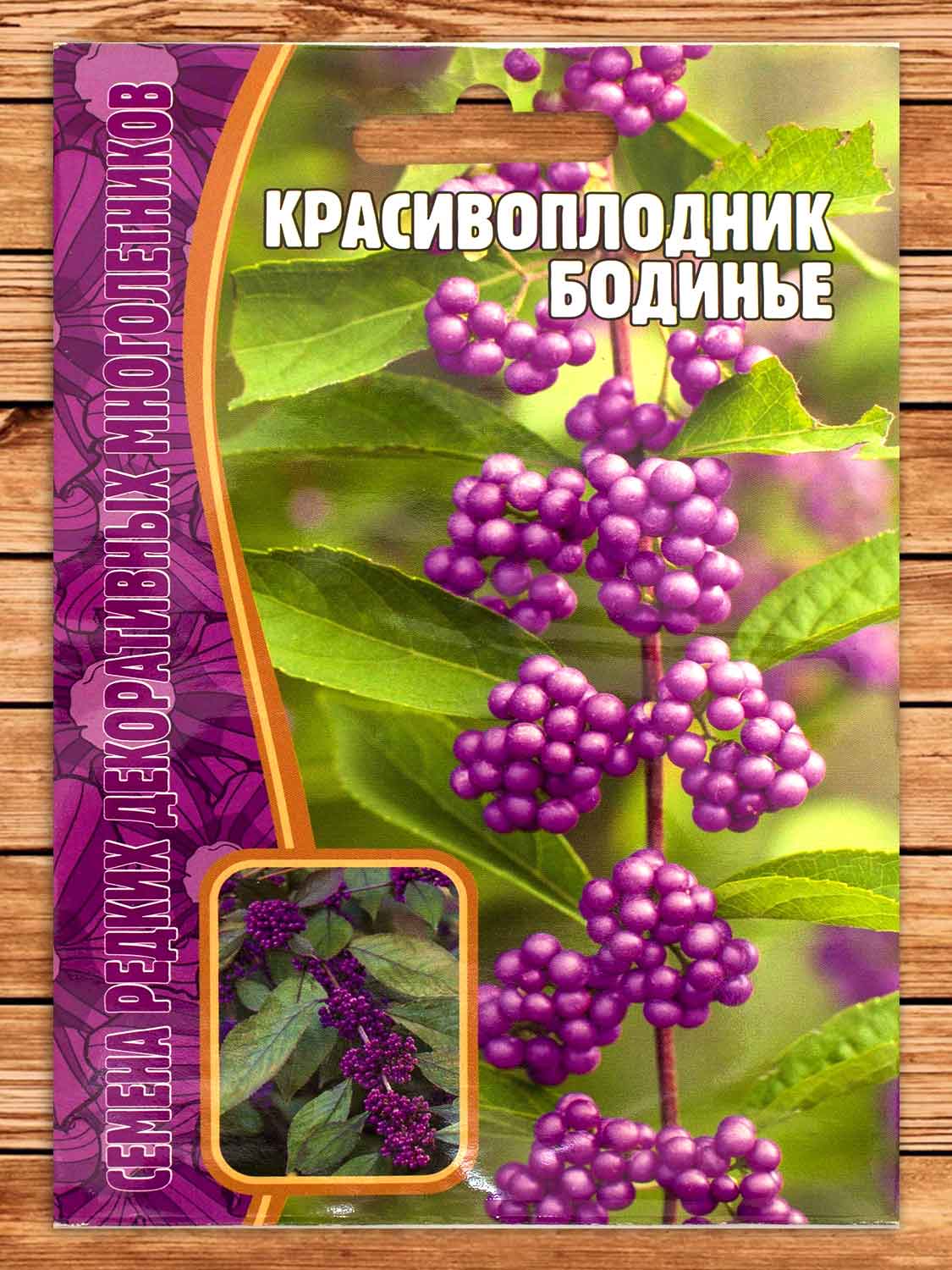 Красивоплодник Бодинье 7 шт.