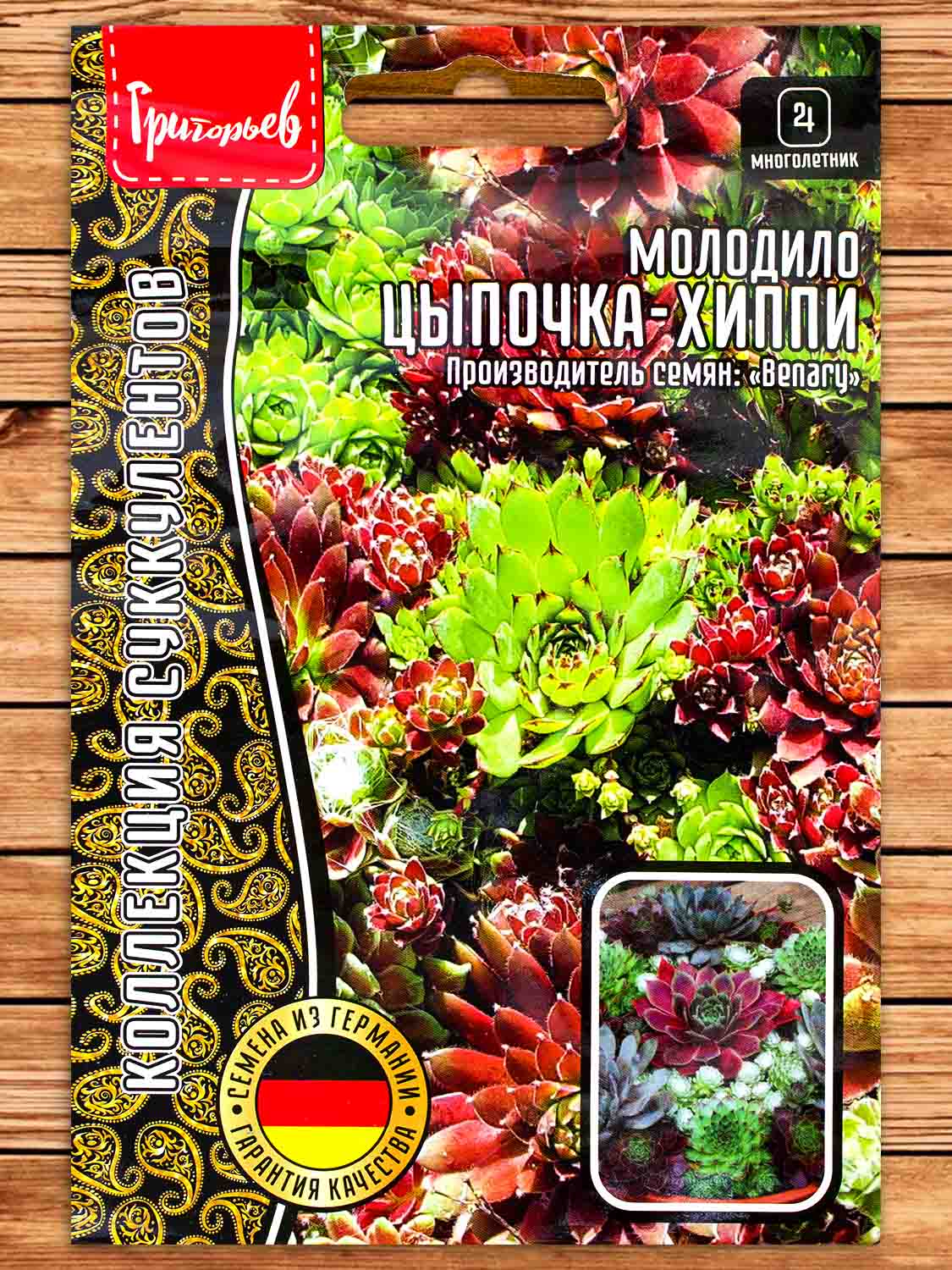 Молодило Цыпочка-Хиппи смесь многолетник 5  шт.