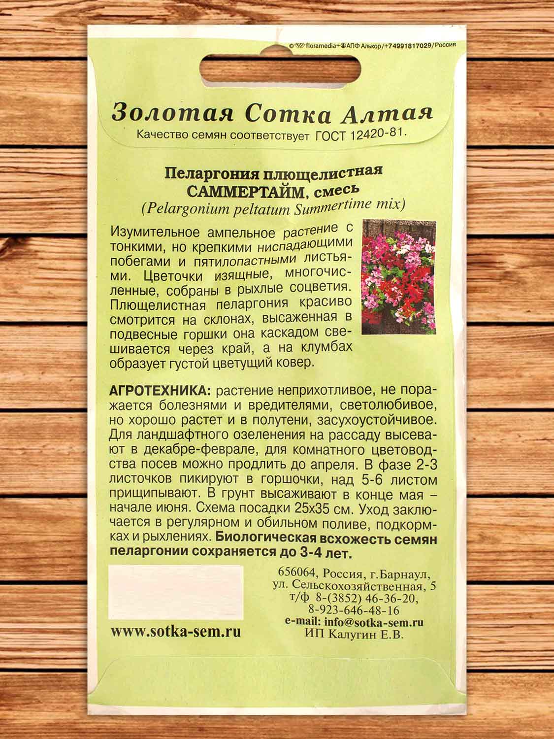 Пеларгония Саммертайм плющелистная 3 шт.