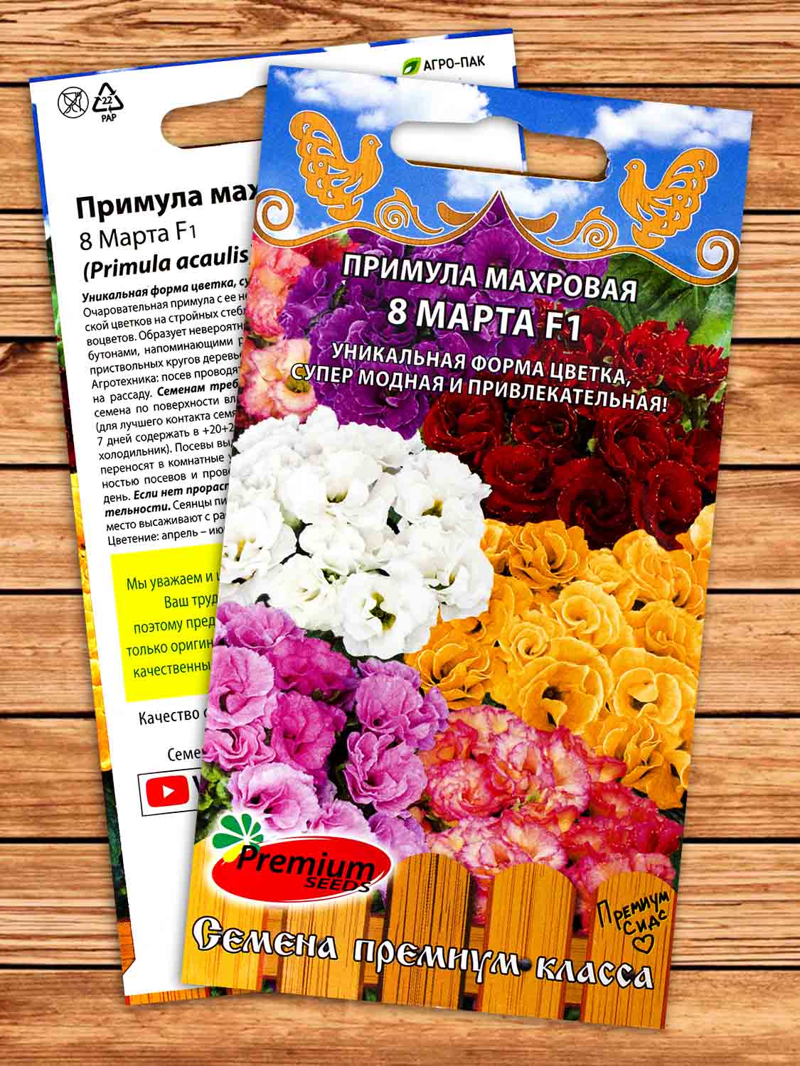 Примула 8 марта F1 многолетник 5 шт.