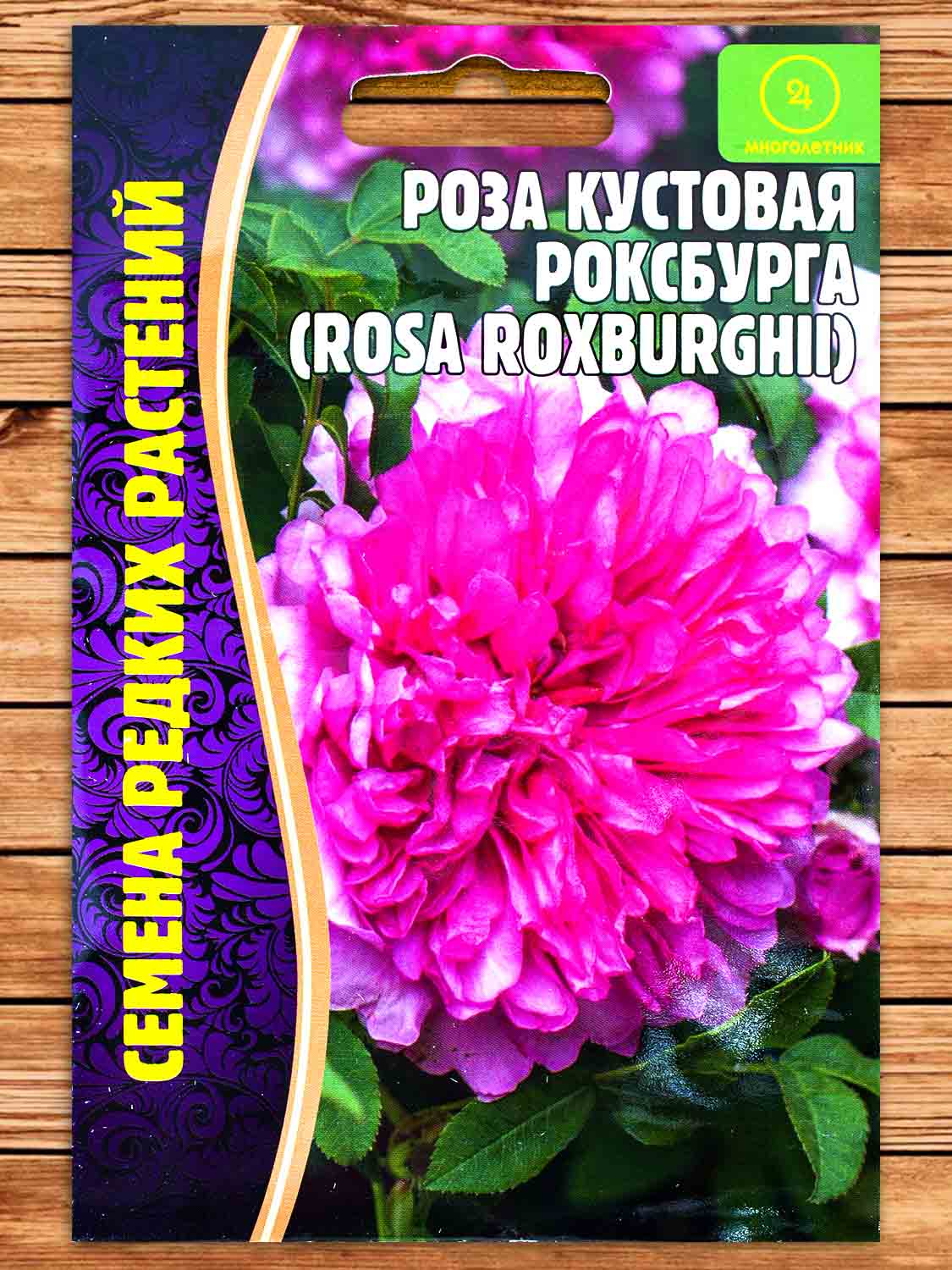 Роза Кустовая Роксбурга 10 шт.