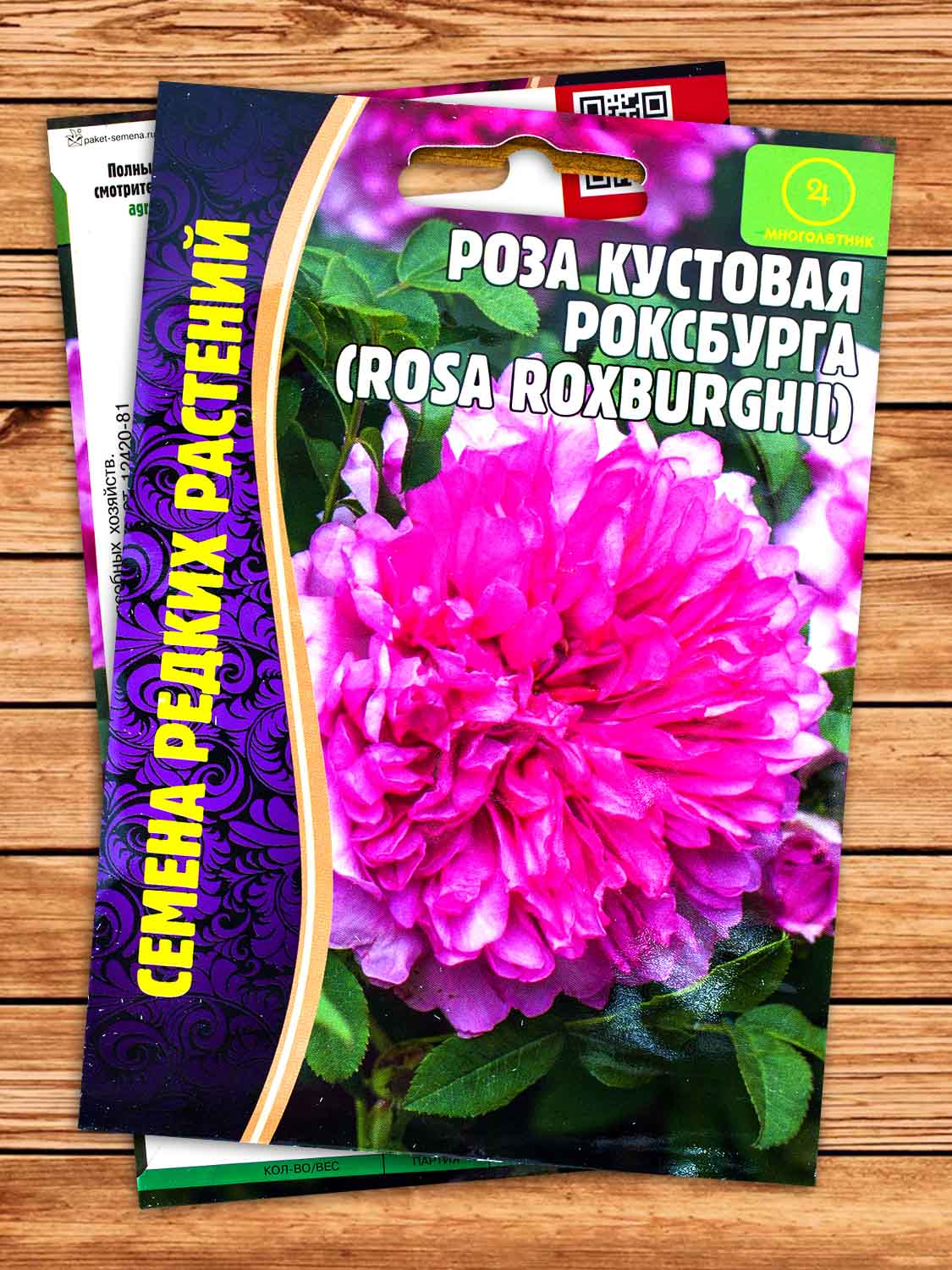 Роза Кустовая Роксбурга 10 шт.