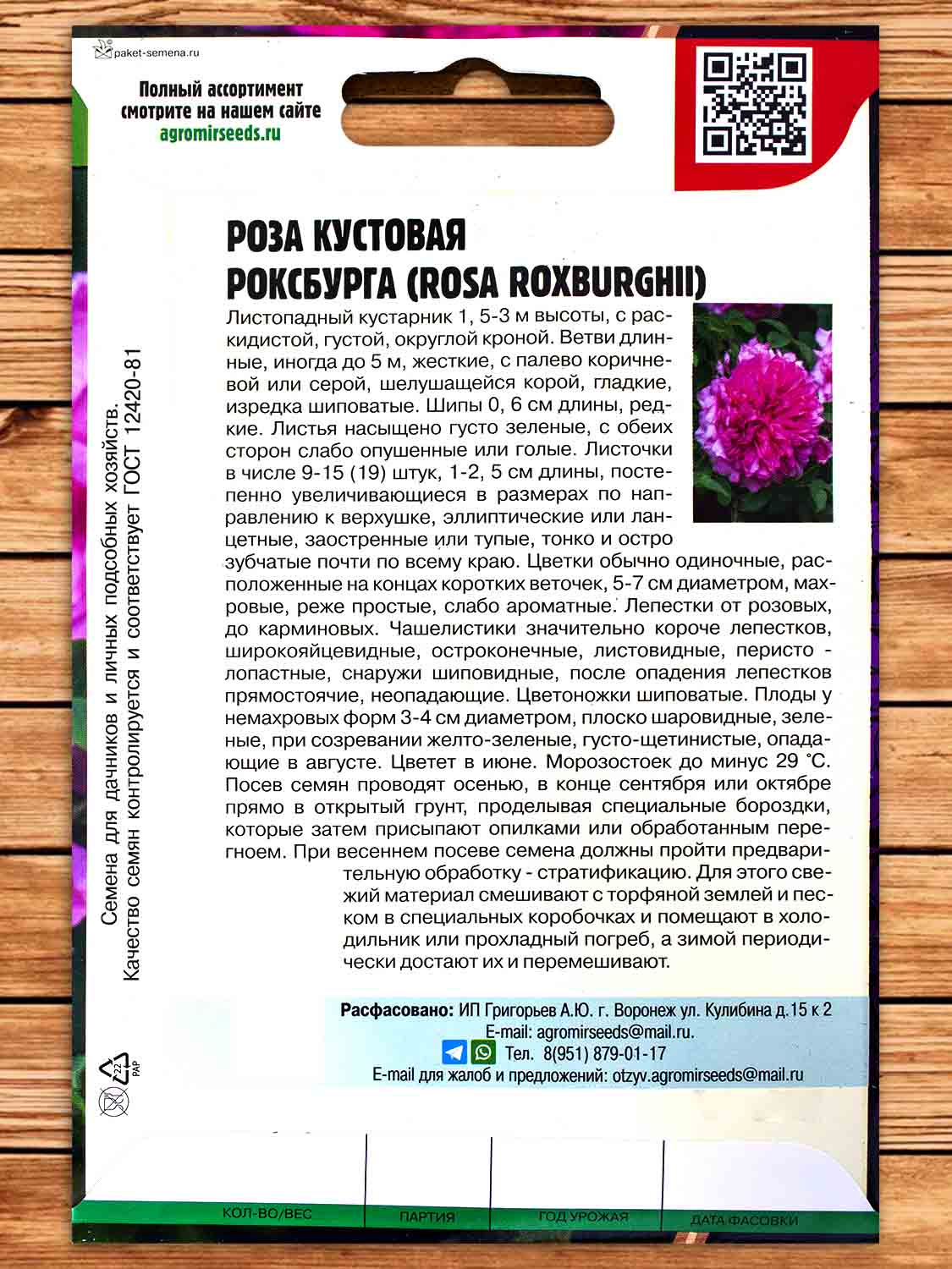 Роза Кустовая Роксбурга 10 шт.