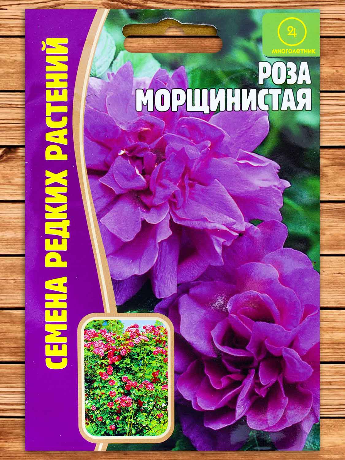 Роза Морщинистая 10 шт.