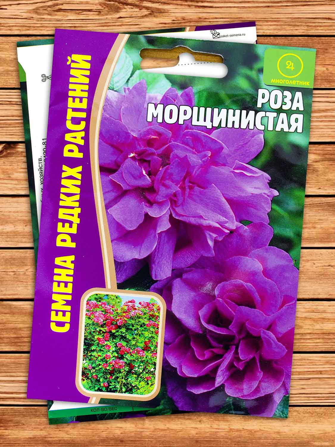 Роза Морщинистая 10 шт.