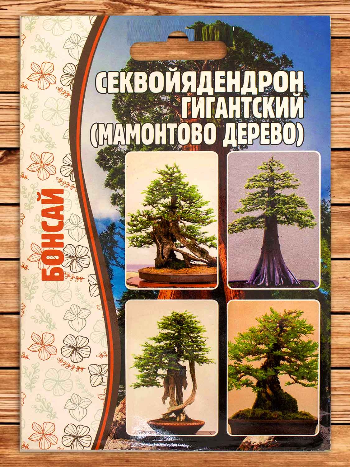 Секвойядендрон Гигантский 5 шт.