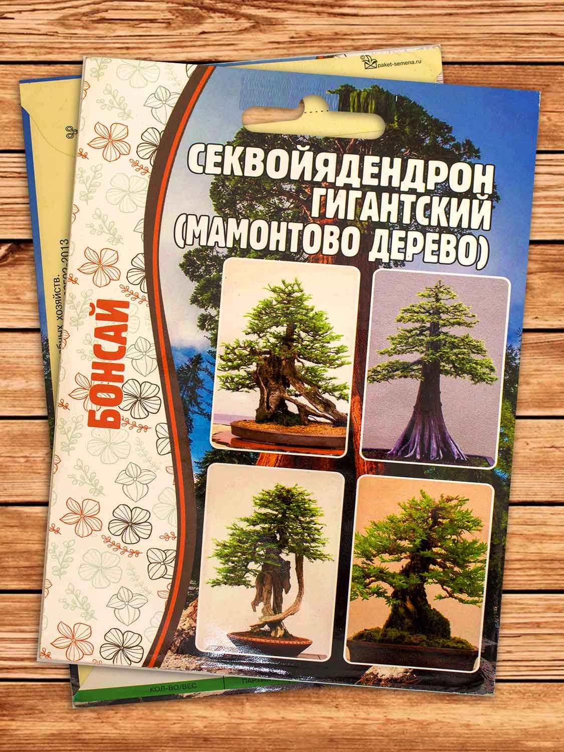 Секвойядендрон Гигантский 5 шт.