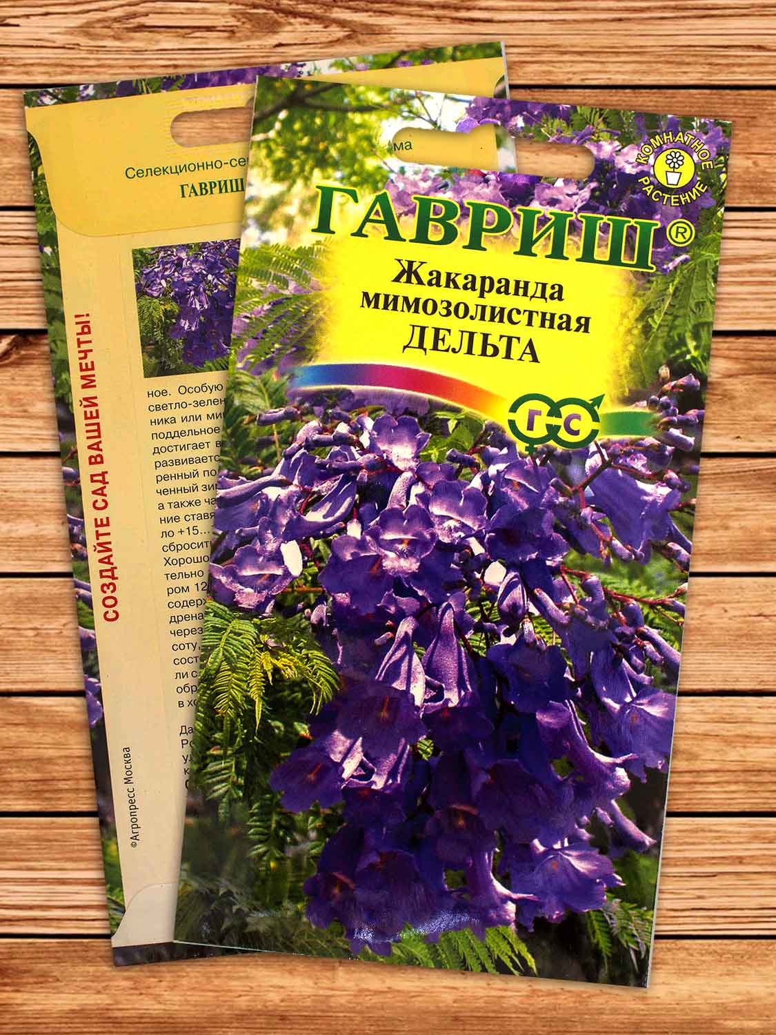 Жакаранда Дельта 3 шт.