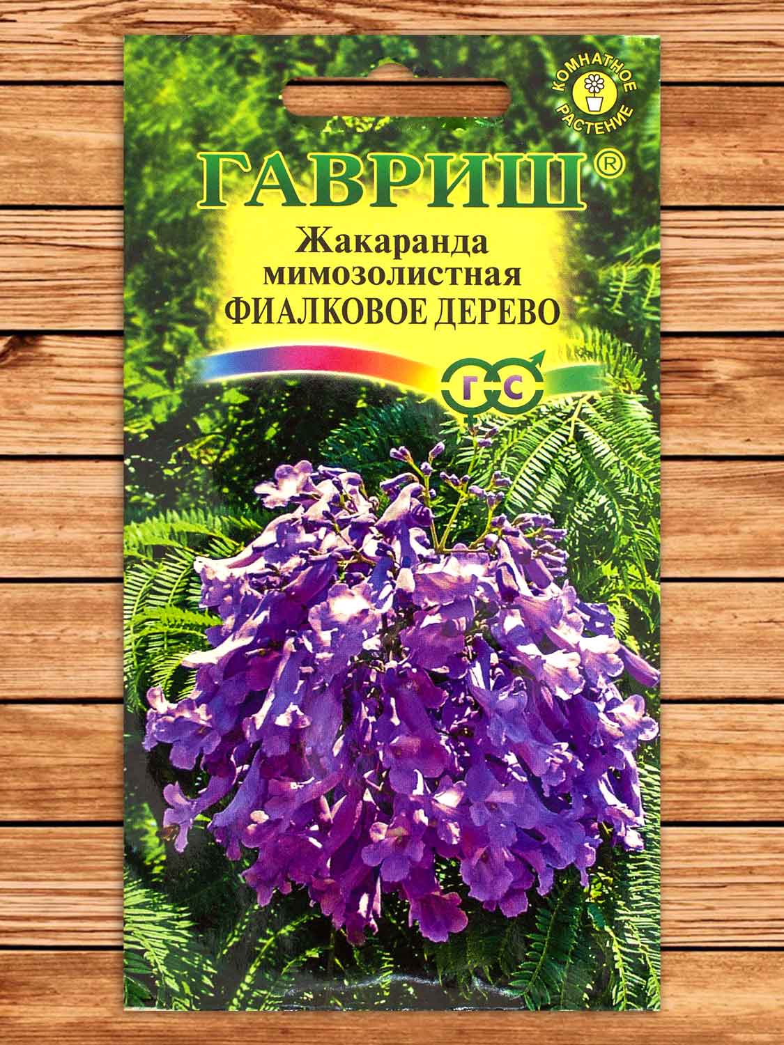 Жакаранда Фиалковое Дерево 3 шт.