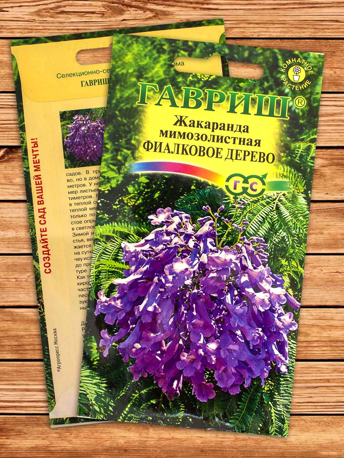 Жакаранда Фиалковое Дерево 3 шт.