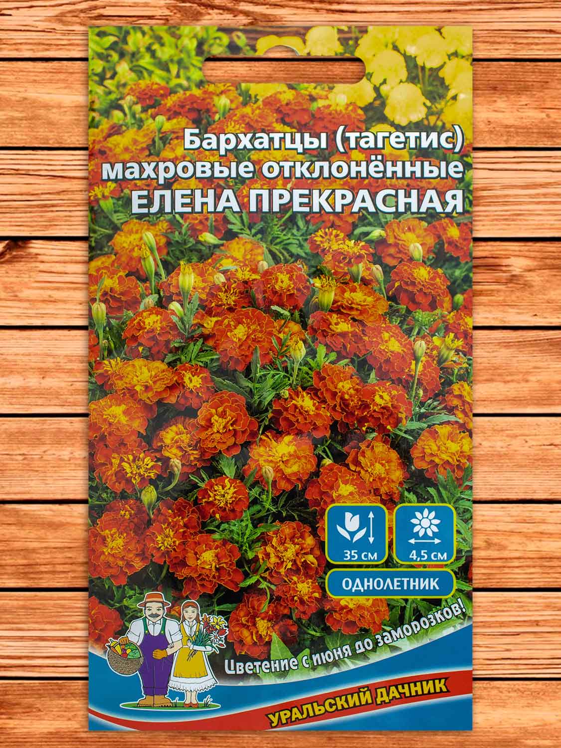 Бархатцы (Тагетес) Елена прекрасная отклоненные махровые 0,2 гр.
