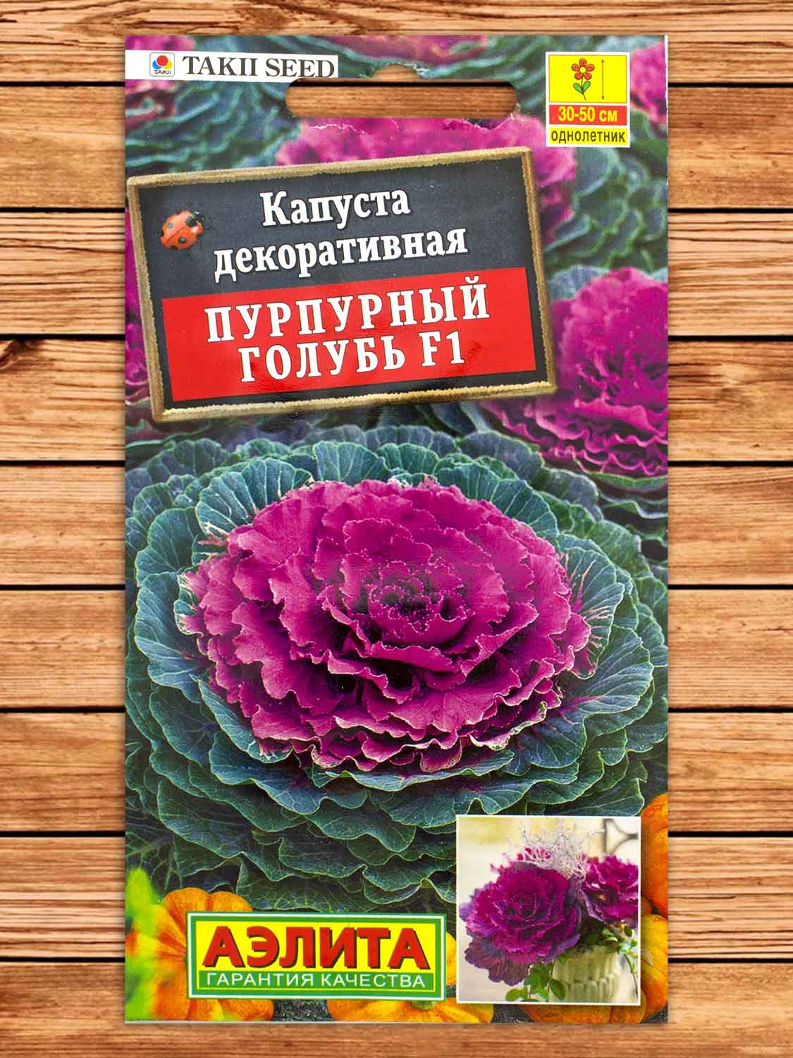 Капуста декоративная Пурпурный Голубь F1 7 шт.