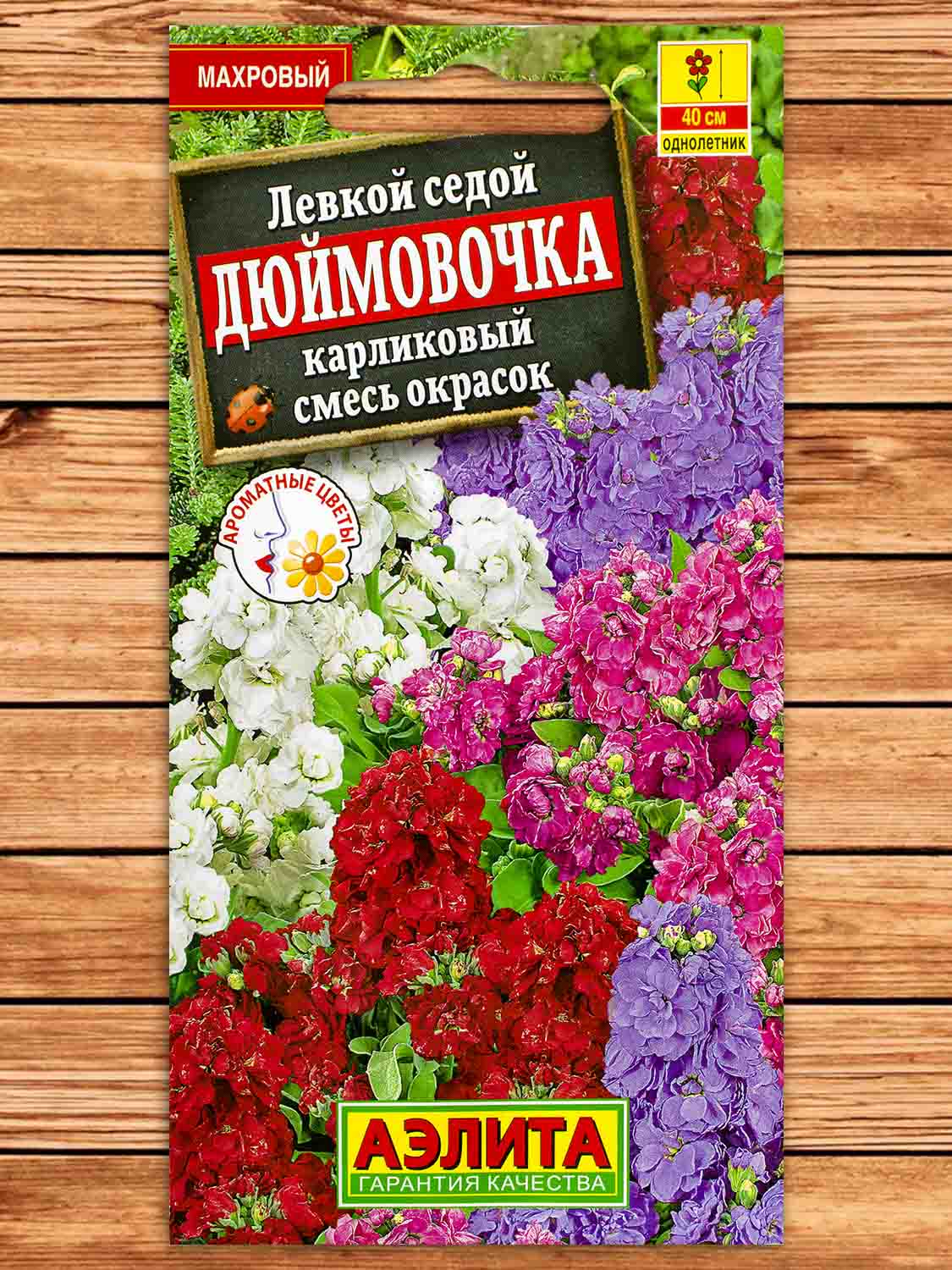 Левкой Седой Дюймовочка карликовый смесь окрасок 0,1 гр.