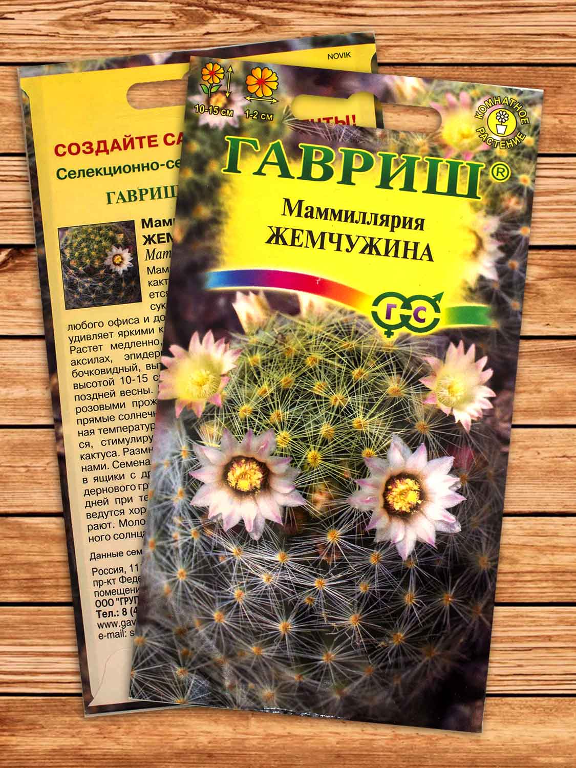 Маммиллярия Шейдвелардиана (Кактус) Жемчужина 2 шт.