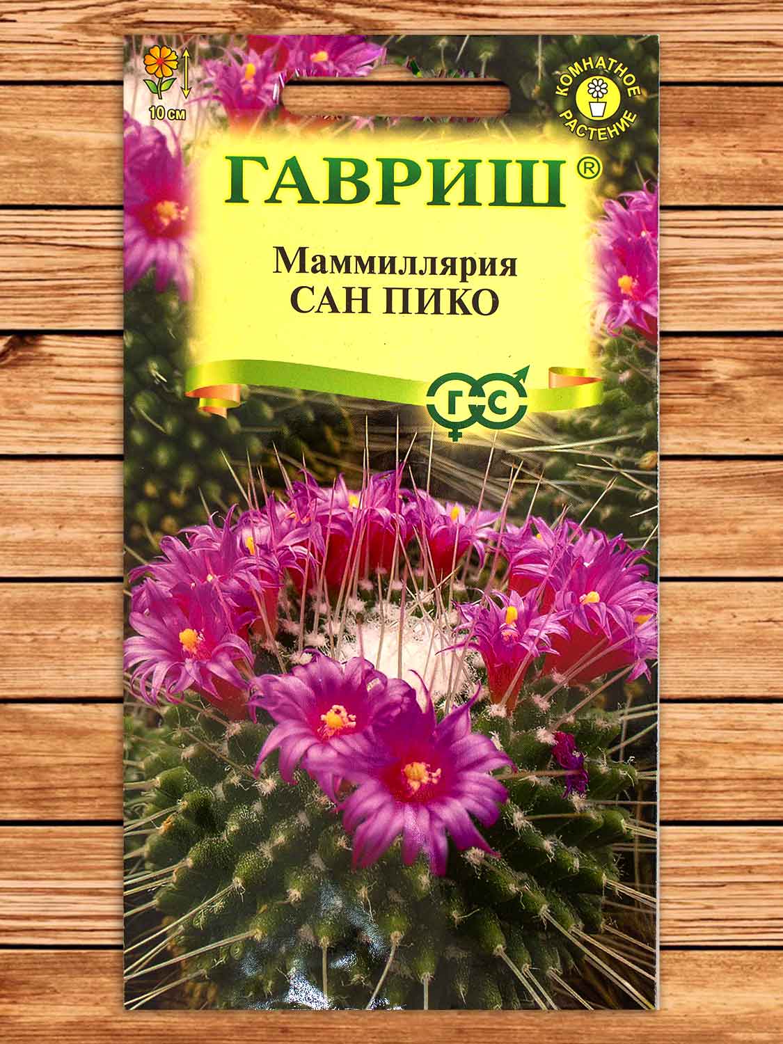 Маммиллярия Толука (Кактус) Сан Пико 2 шт.