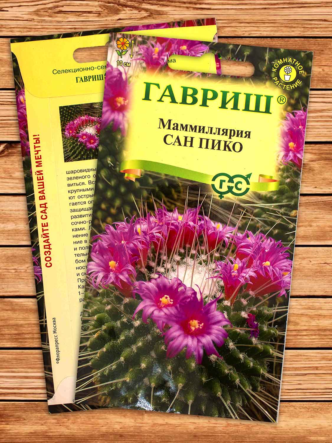 Маммиллярия Толука (Кактус) Сан Пико 2 шт.