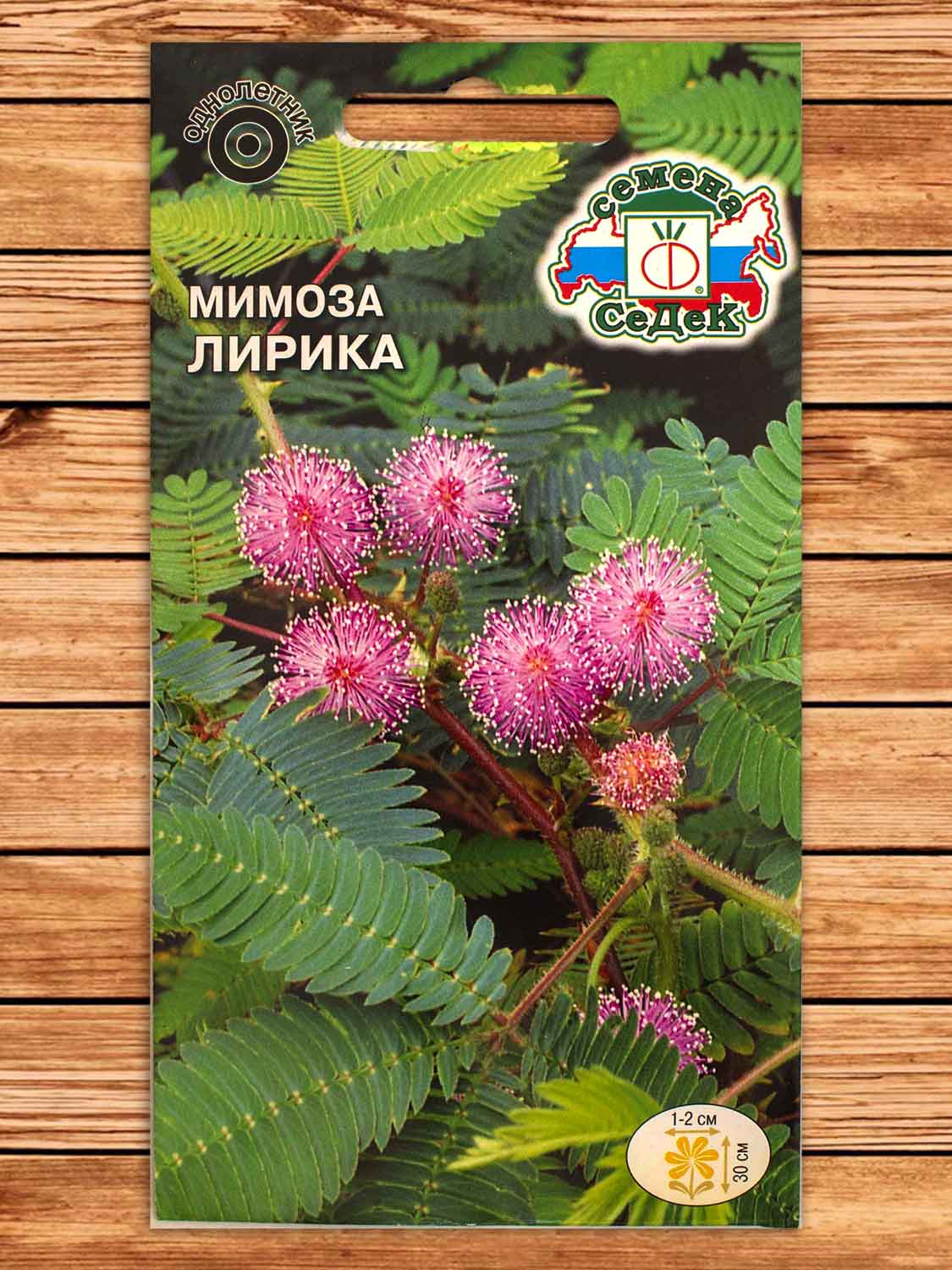 Мимоза Лирика стыдливая, розовая 0,1 гр.