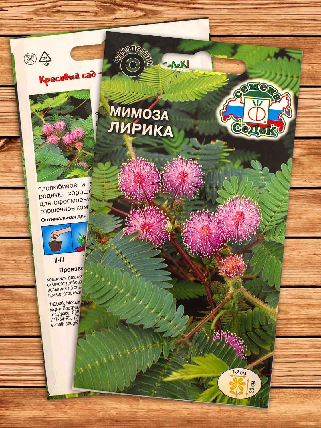 Мимоза Лирика стыдливая, розовая 0,1 гр.